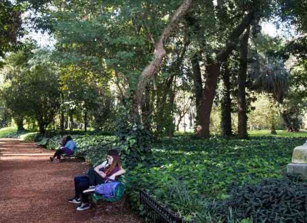 El Jardín Botánico de la Ciudad en alerta a 126 años de su inauguración